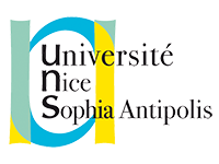 logo licence professionnel unice